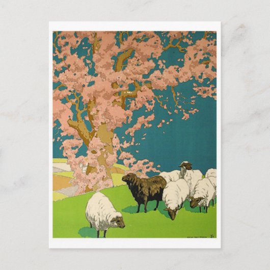 Briefkaart  illustratie (Voorkant)