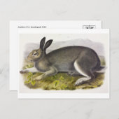 Briefkaart illustratie (Voorkant / Achterkant)