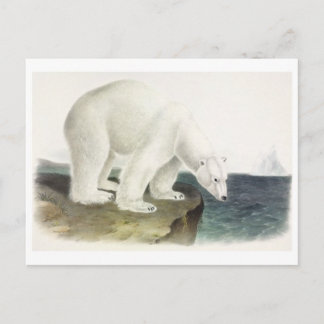 Briefkaart  illustratie