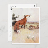 Briefkaart  illustratie (Voorkant / Achterkant)