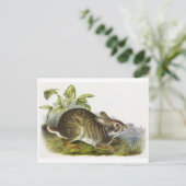 Briefkaart illustratie (Staand voorkant)