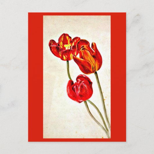 Briefkaart- Illustratie-Beatrix Potter 5 Briefkaart (Voorkant)