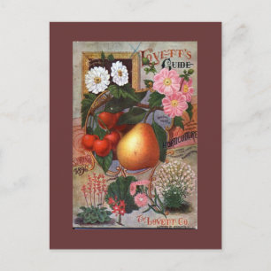 Briefkaart - illustratie  vruchten