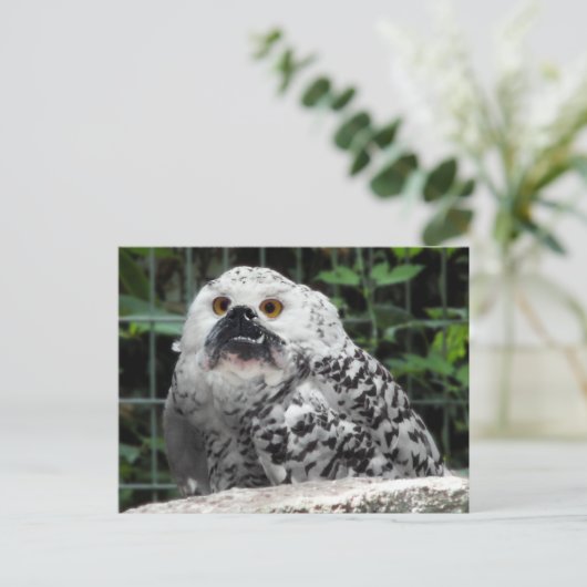 Briefkaart in bulk (Staand voorkant)