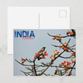 Briefkaart - India - Kolkata - Indische lente (Voorkant / Achterkant)
