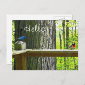 Briefkaart Indigo Bunting & Roos Breasted Grosbeak (Voorkant / Achterkant)