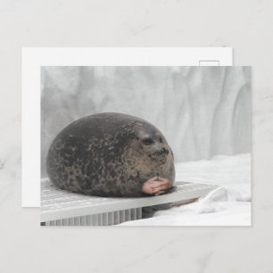 Briefkaart Judging Seal Meme