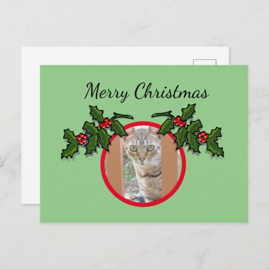 Briefkaart - Kat en kerstgroet (Voorkant / Achterkant)