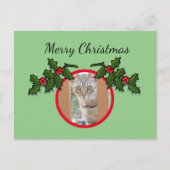 Briefkaart - Kat en kerstgroet (Voorkant)