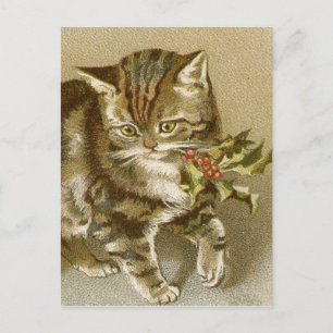 Briefkaart: Kat met Holly Sprig Briefkaart