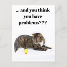 Briefkaart Katze schaut "Küken" en schwarzer Humor