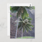 Briefkaart Kauai Palm Trees (Voorkant / Achterkant)