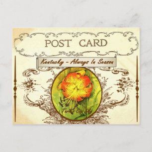 Briefkaart Kentucky State Flower