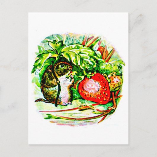 Briefkaart-Kinder Art-Beatrix Potter 13 Briefkaart (Voorkant)