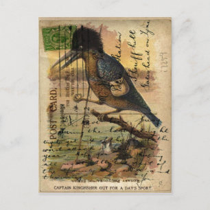Briefkaart Kingfisher