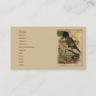 Briefkaart Kingfisher Visitekaartje