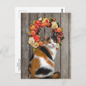 briefkaart "Kittles" (Voorkant / Achterkant)