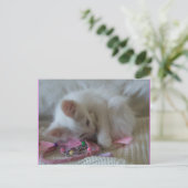 Briefkaart klein meisje Kat #2 (Staand voorkant)