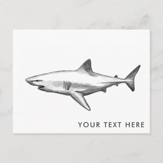 Briefkaart Koelhaai (Voorkant)