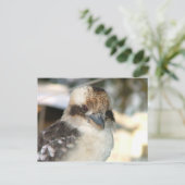 Briefkaart Kookaburra (Staand voorkant)