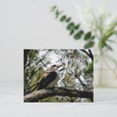 Briefkaart Kookaburra Thoughts (Staand voorkant)