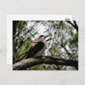 Briefkaart Kookaburra Thoughts (Voorkant / Achterkant)