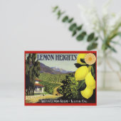 Briefkaart  Kratellabel (Staand voorkant)