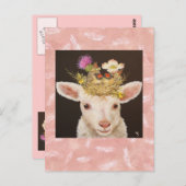 briefkaart lammeren (Voorkant / Achterkant)