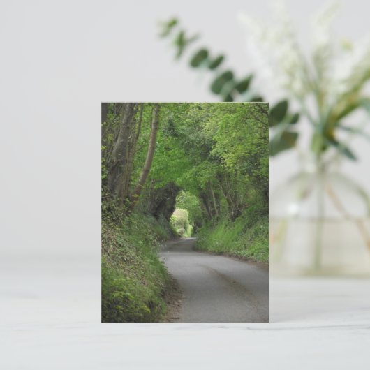 Briefkaart Landlandlaan (Staand voorkant)