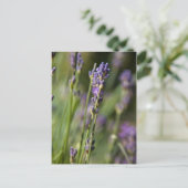 Briefkaart Lavendar (Staand voorkant)