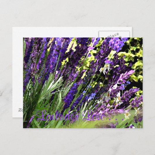 Briefkaart lavender (Voorkant / Achterkant)