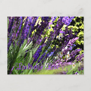 Briefkaart lavender