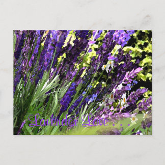 Briefkaart lavender