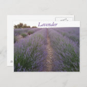 Briefkaart lavender veld (Voorkant / Achterkant)