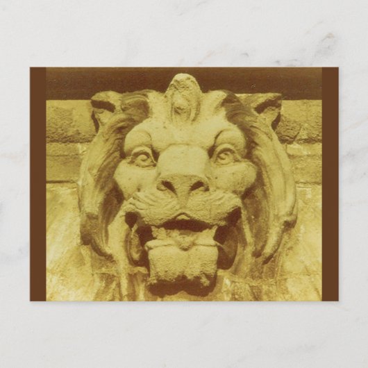 Briefkaart - Leeuwenkop (Voorkant)