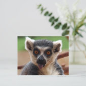 Briefkaart Lemur (Staand voorkant)