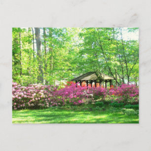 briefkaart, "Lente in de botanische tuin van Toled Briefkaart