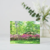 briefkaart, "Lente in de botanische tuin van Toled Briefkaart (Staand voorkant)