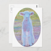 Briefkaart lentemallam (Voorkant / Achterkant)