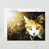 Briefkaart lichttablet in het najaar (Voorkant / Achterkant)