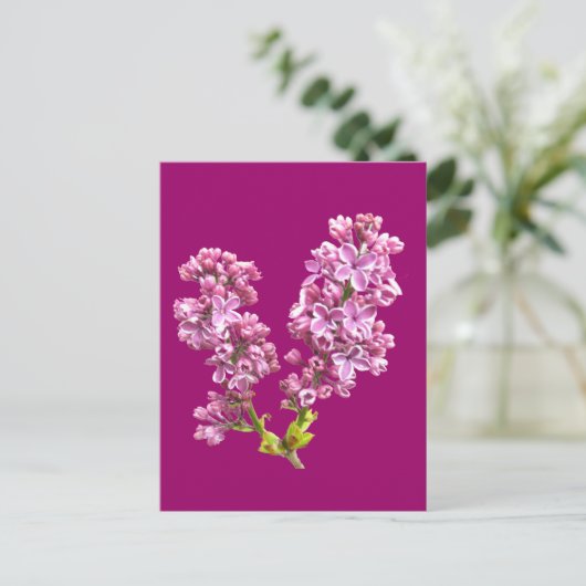 Briefkaart - Lila bloesems (Staand voorkant)