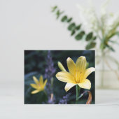 Briefkaart Lilies (Staand voorkant)