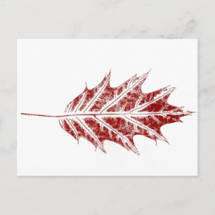 briefkaart "Little Red Oak"