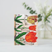 Briefkaart Livres De Fleurs (Staand voorkant)