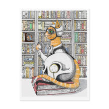 Briefkaart: Luchtvaart voor katten