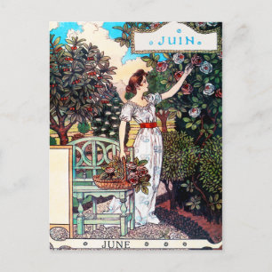 Briefkaart: maand juni - juni briefkaart