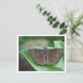 Briefkaart maandelijkse inspringingen (Staand voorkant)