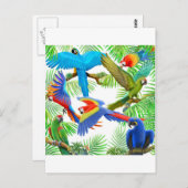 Briefkaart Macaw Oerwoud (Voorkant / Achterkant)