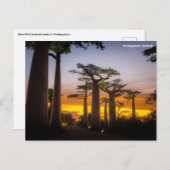 Briefkaart Madagaskar (Voorkant / Achterkant)