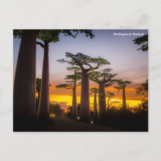 Briefkaart Madagaskar (Voorkant)